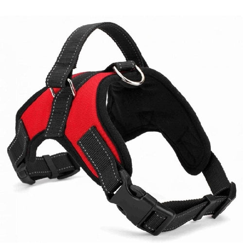 Premium Nylon Dog Collar Set