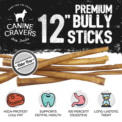 Premium Gourmet Beef Bully Sticks for Dogs