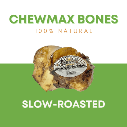 Premium Slow-Roasted Femur Knuckle Beef Bone Treat for Dogs