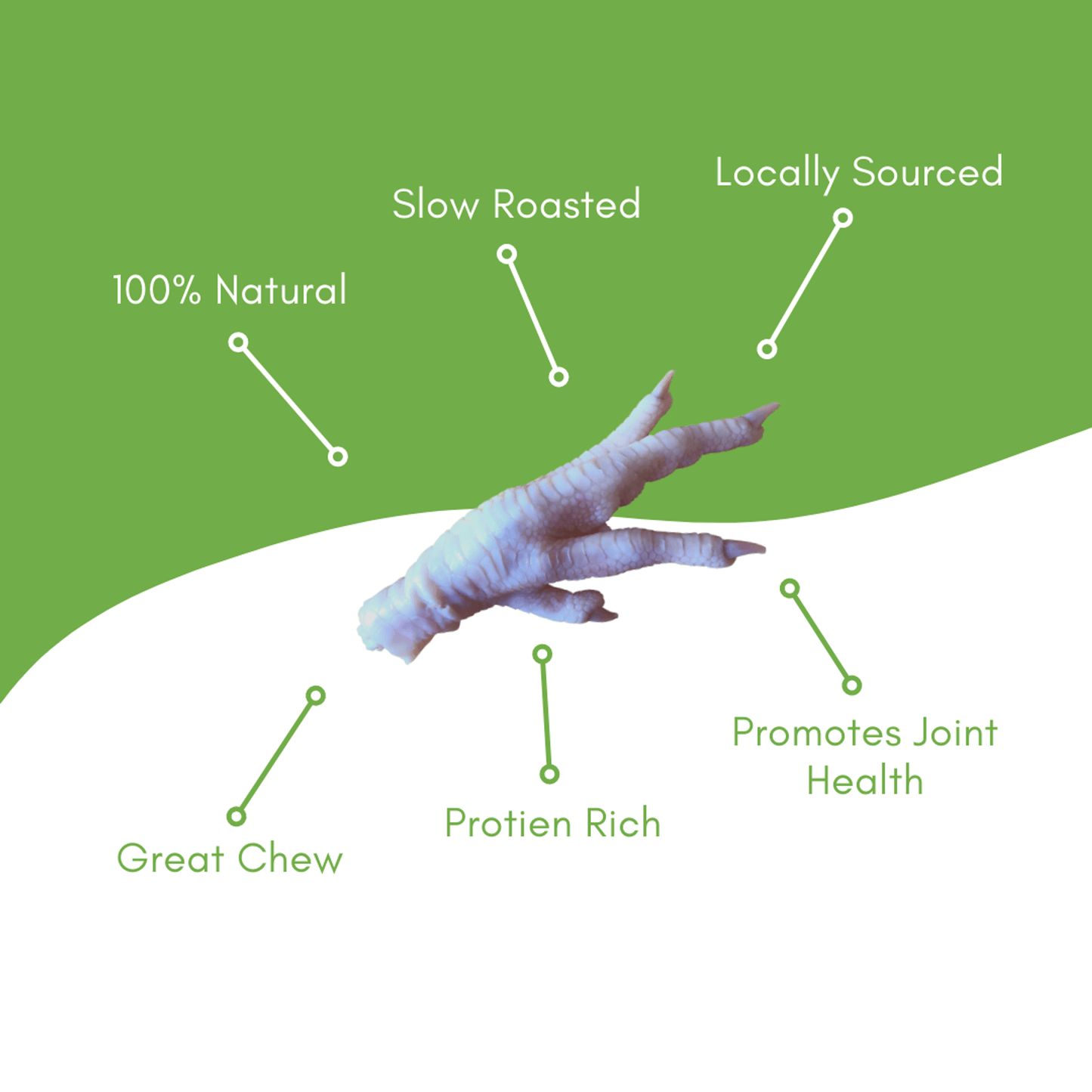Premium Roasted Duck Feet Pet Treats - 1 LB