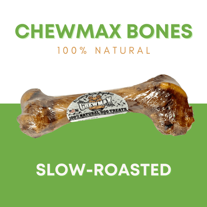 Porky Femur Dog Bones for Enhanced Dental Health - 2 Count