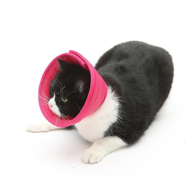 Pet Recovery Shield: Transparent Anti-Bite Collar For Dogs And Cats