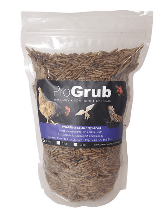 Premium Dried Black Soldier Fly Larvae