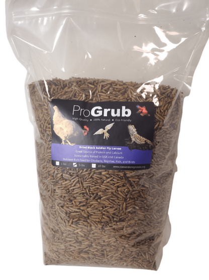 Premium Dried Black Soldier Fly Larvae
