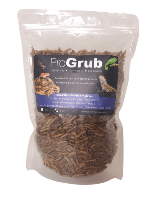Premium Dried Black Soldier Fly Larvae for Reptiles and Aquatics