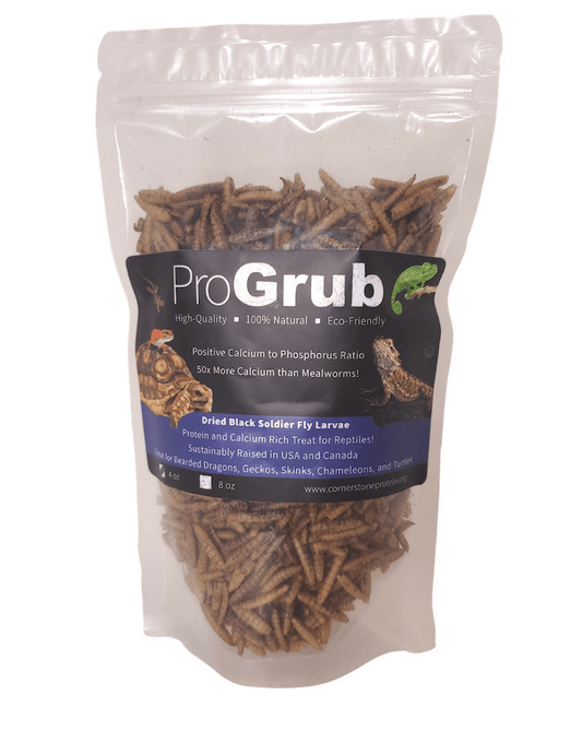 Premium Dried Black Soldier Fly Larvae for Reptiles and Aquatics