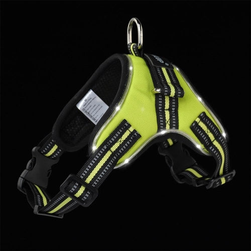Luminous Canine Collar