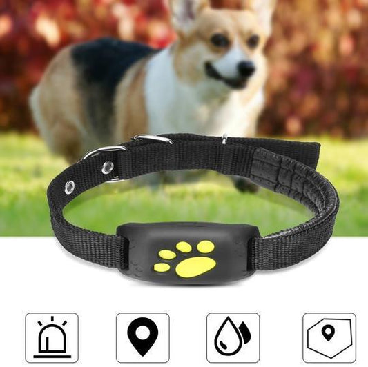 Pet Trackmaster: Gps Pet Tracker