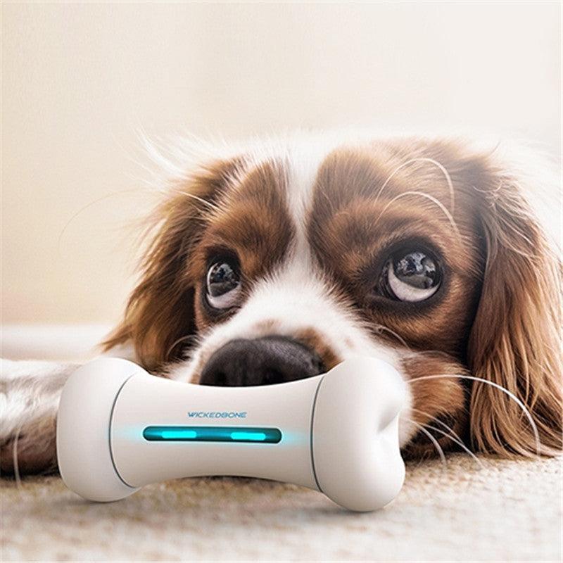 Introducing The Smart Chew Buddy