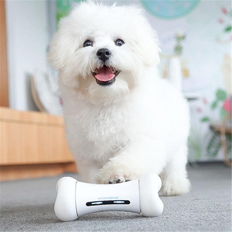 Introducing The Smart Chew Buddy