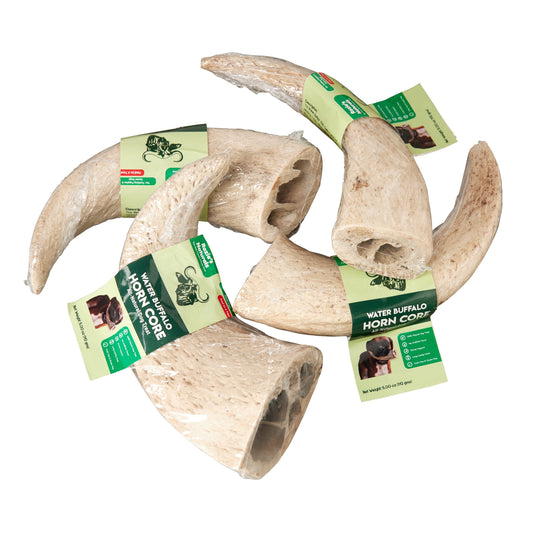 Water Buffalo Horn Core Dog Chews – 2 Count (10 oz) | Natural Long-Lasting Dental Treats