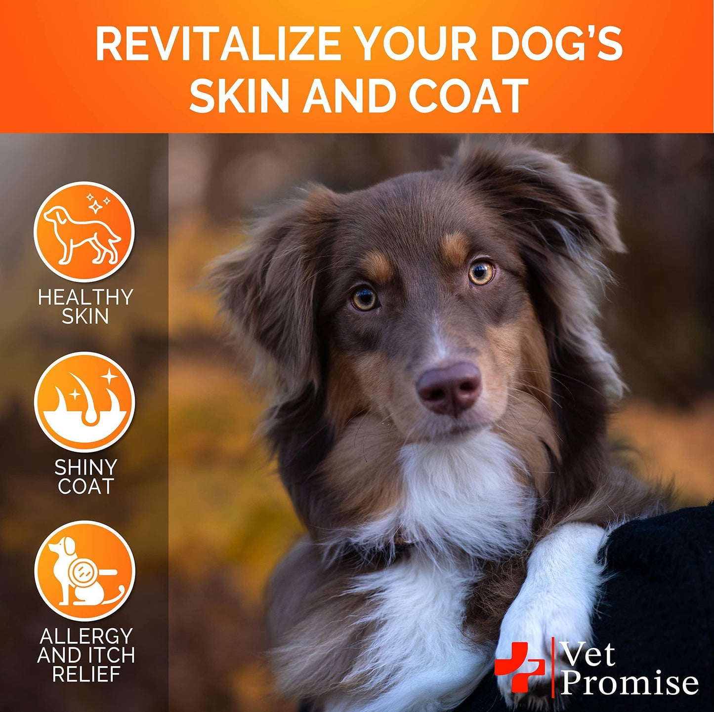 Omega 3 for Dogs - Dog Skin and Coat Supplement