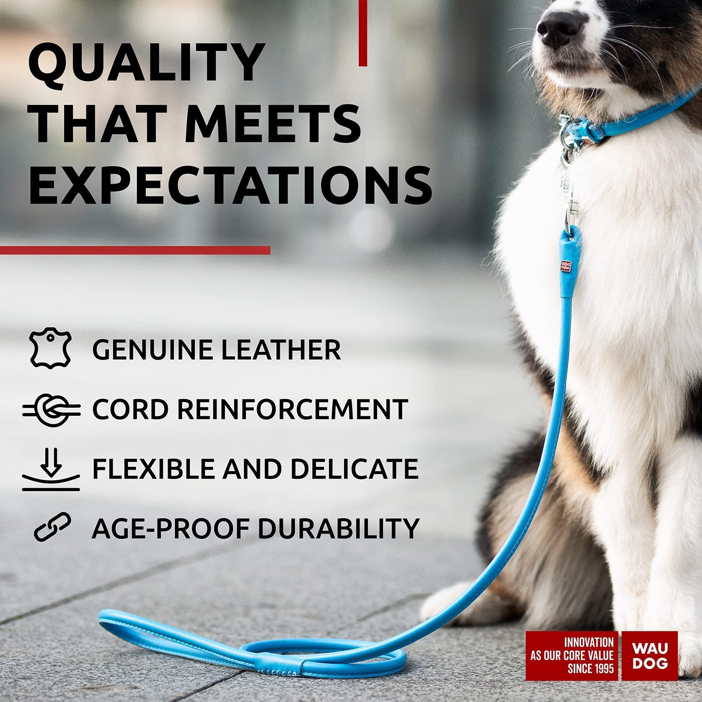 WAUDOG Rolled Leather Dog Leash 6Ft * 0.5in