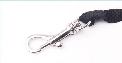 3-In-1 Illuminated Dog Leash With Retractable Garbage Bag