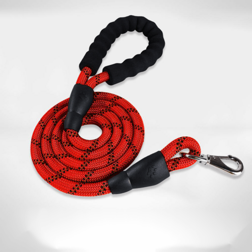 Premium Nylon Dog Collar Set