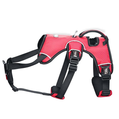 Stylish Polyester Dog Harness