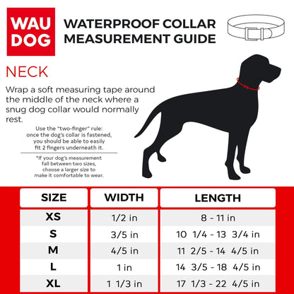 WAUDOG Leather Dog Collar with NASA Design