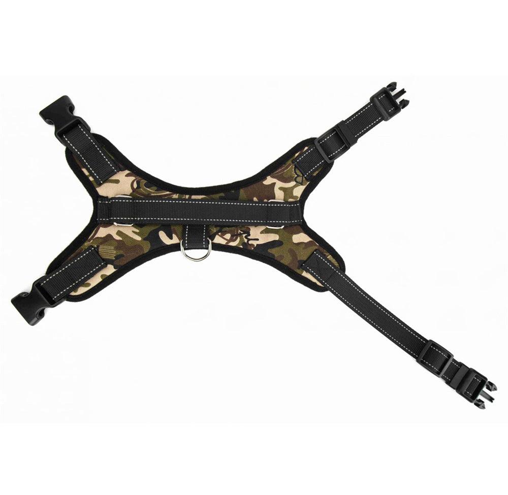 Premium Nylon Dog Collar Set