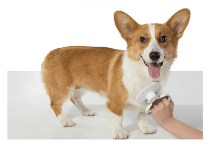 Furcare Pro: Self-Cleaning Wire Brush