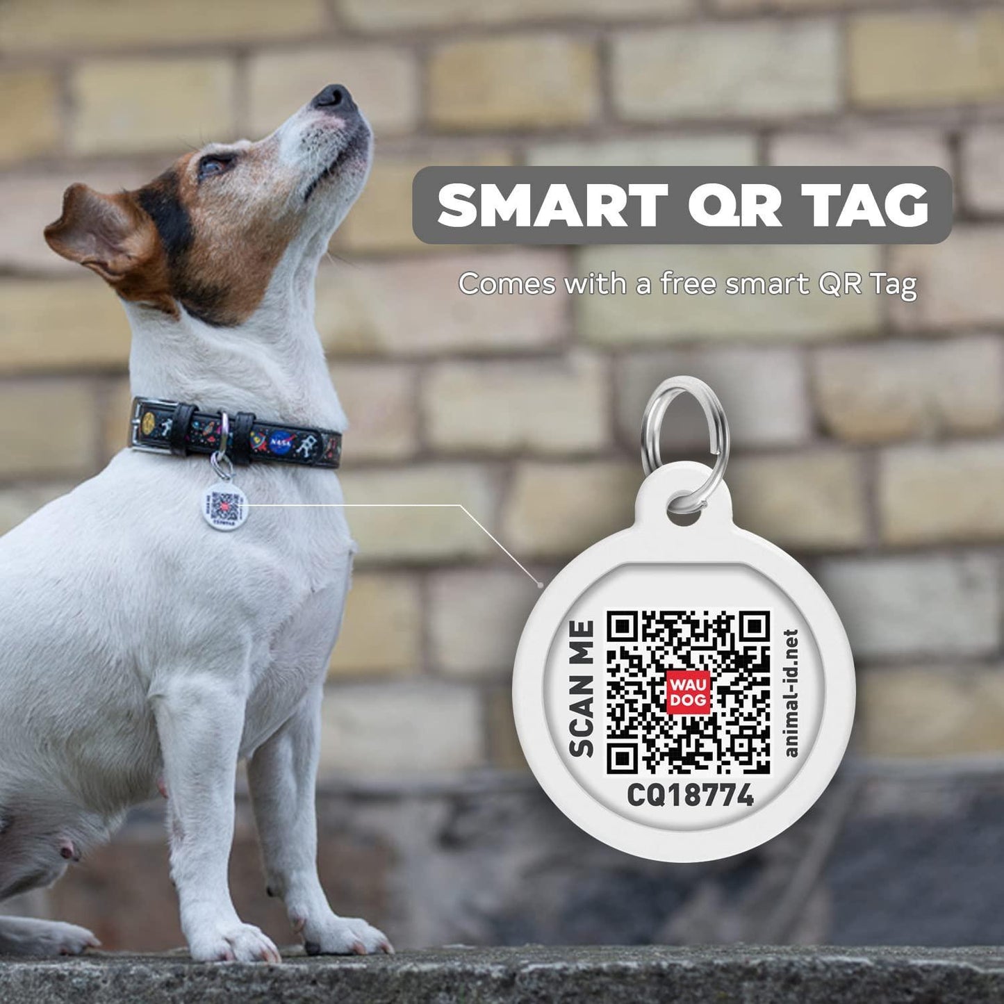 WAUDOG Leather Dog Collar with NASA Design