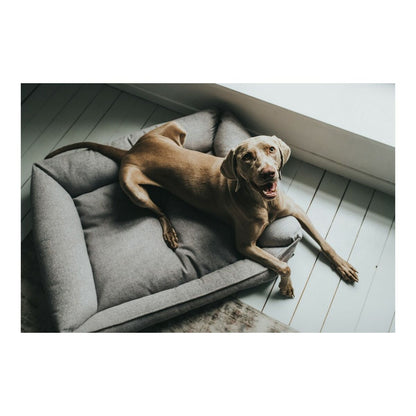 Dog Bed Hunter Prag 70 x 50 cm Grey