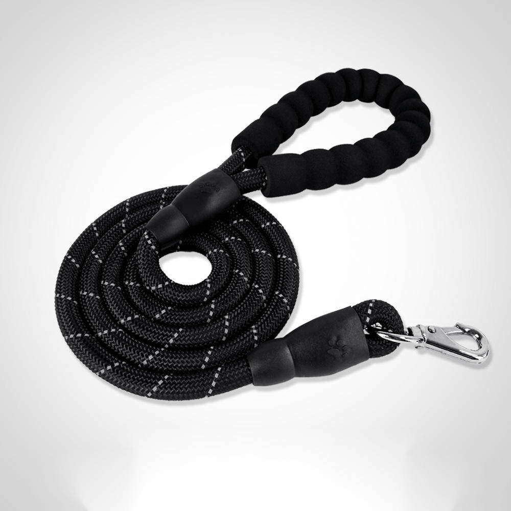 Premium Nylon Dog Collar Set