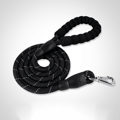 Premium Nylon Dog Collar Set