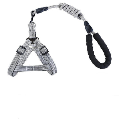 Reflective Pet Leash And Collar Set