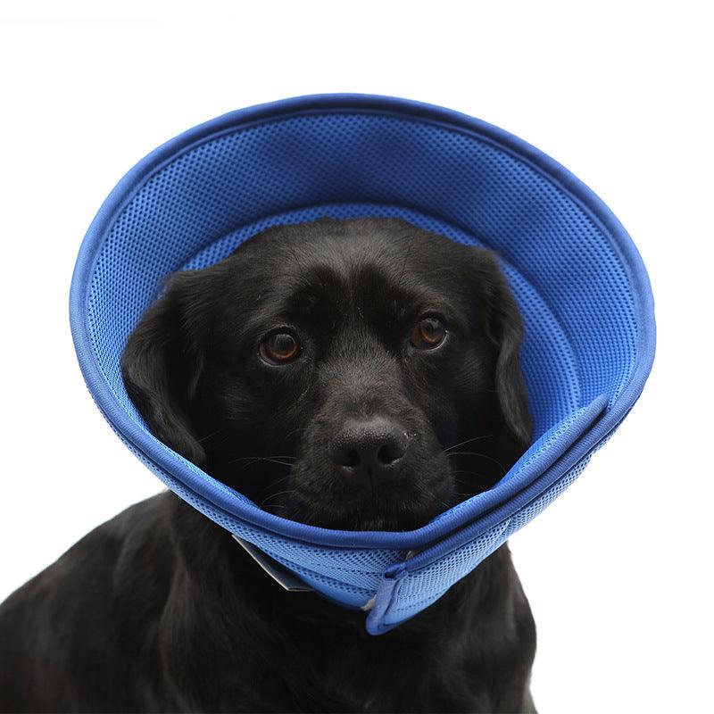 Pet Recovery Shield: Transparent Anti-Bite Collar For Dogs And Cats