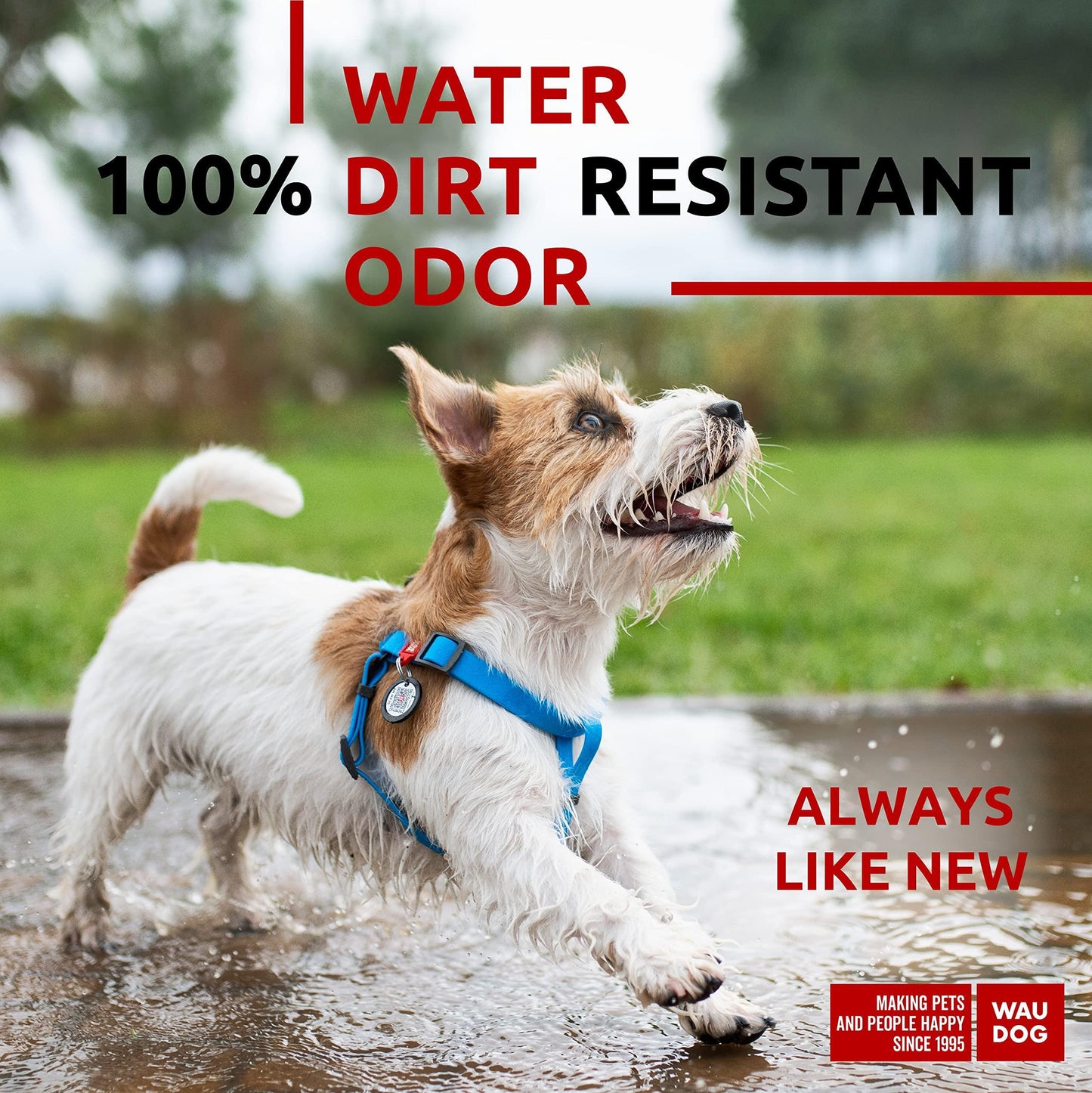 Waterproof Dog Harness - Adjustable Dog Harness