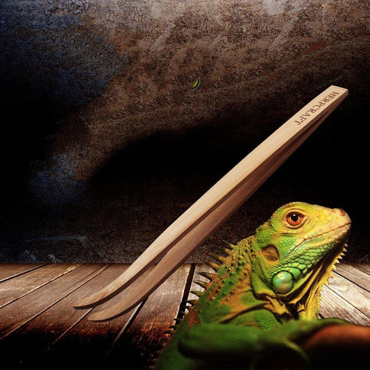 Reptile Bamboo Tweezers Set - Essential Feeding Tools