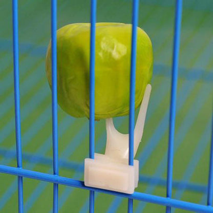 Pet Treat Delight - Bird Fruit Fork Set