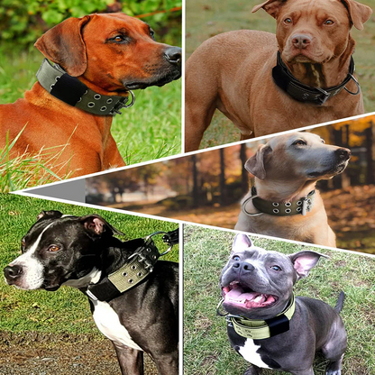 2" Wide Tactical Heavy Duty Nylon Large Dog Collar K9 Military