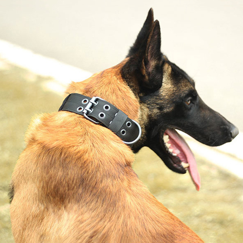 2" Wide Tactical Heavy Duty Nylon Large Dog Collar K9 Military