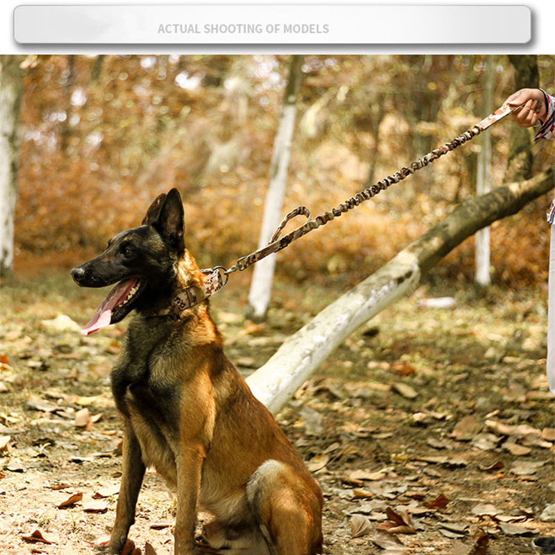 2" Wide Tactical Heavy Duty Nylon Large Dog Collar K9 Military