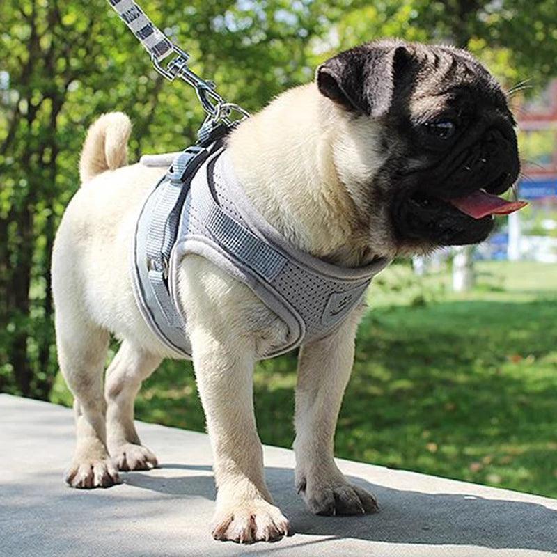 Reflective Airmesh Pet Harness