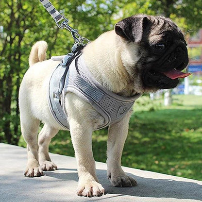 Reflective Airmesh Pet Harness