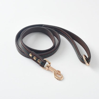 Ultimate Pet Walking Set: Stylish Pu Leash And Collar Combo