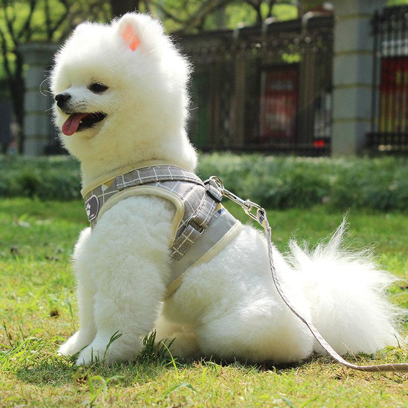 Reflective Nighttime Dog Leash With Stylish Design
