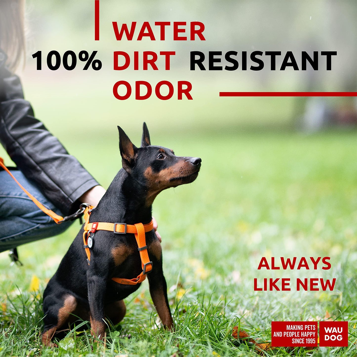 WAUDOG Waterproof Adjustable Dog Harness