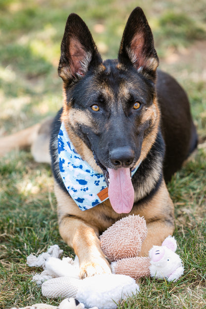 6-Pack Adorable Dog Plush Toys with squeakers for safe and fun play the pettriot 