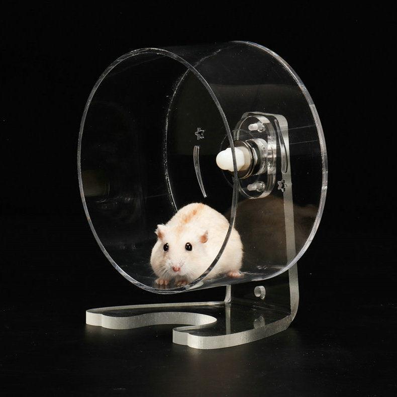 Transparent Acrylic Pet Exercise Wheel - The Ultimate Hamster Fitness