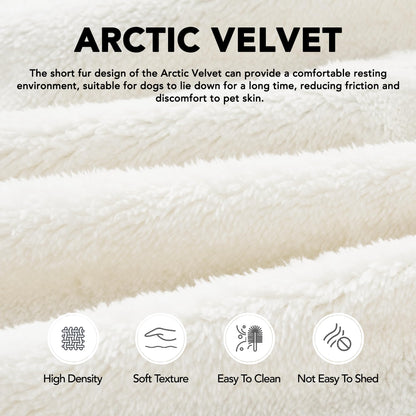 Orthopedic Dog Bed with Washable Cover