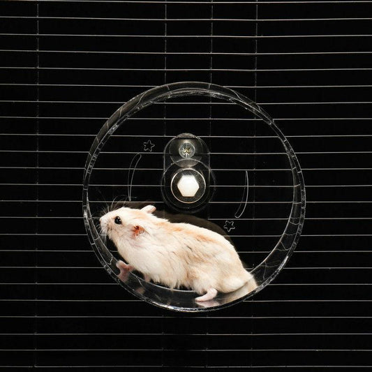 Transparent Acrylic Pet Exercise Wheel - The Ultimate Hamster Fitness