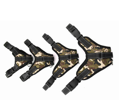 Premium Nylon Dog Collar Set