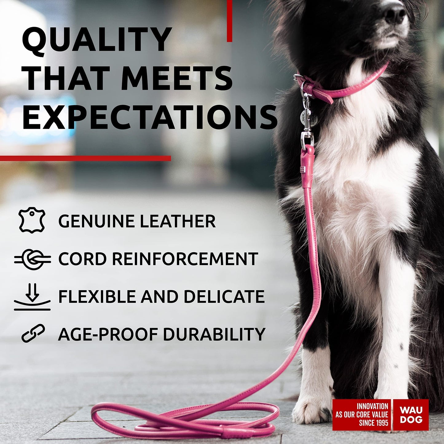 Rolled Leather Dog Leash 4Ft * 0.4in