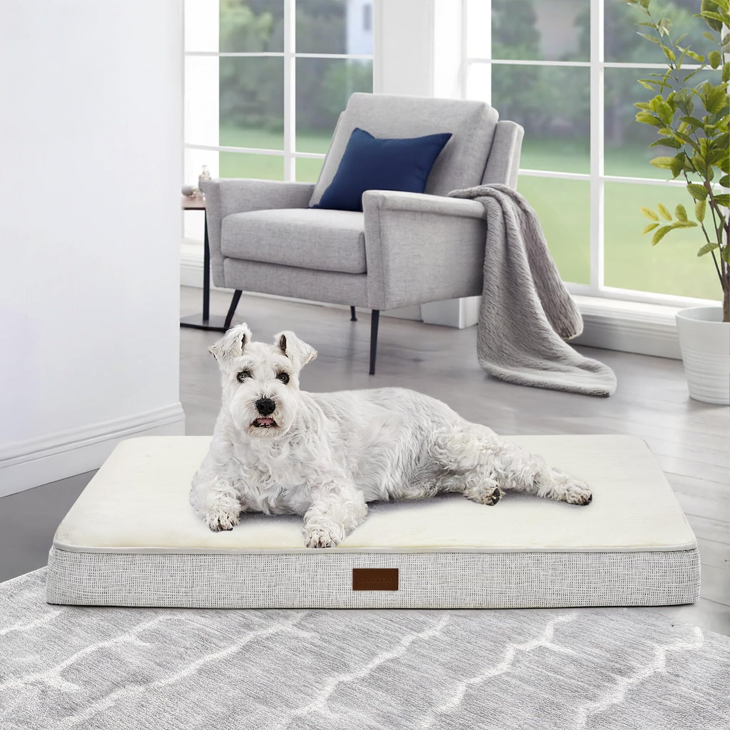Orthopedic Dog Bed with Washable Cover
