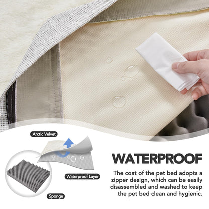 Orthopedic Dog Bed with Washable Cover