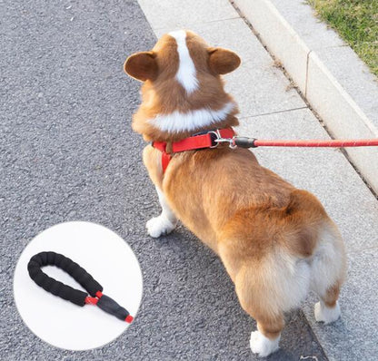 Reflective Pet Leash And Collar Set
