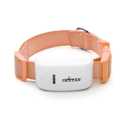 Pettrack Gps: The Ultimate Pet Locator Device